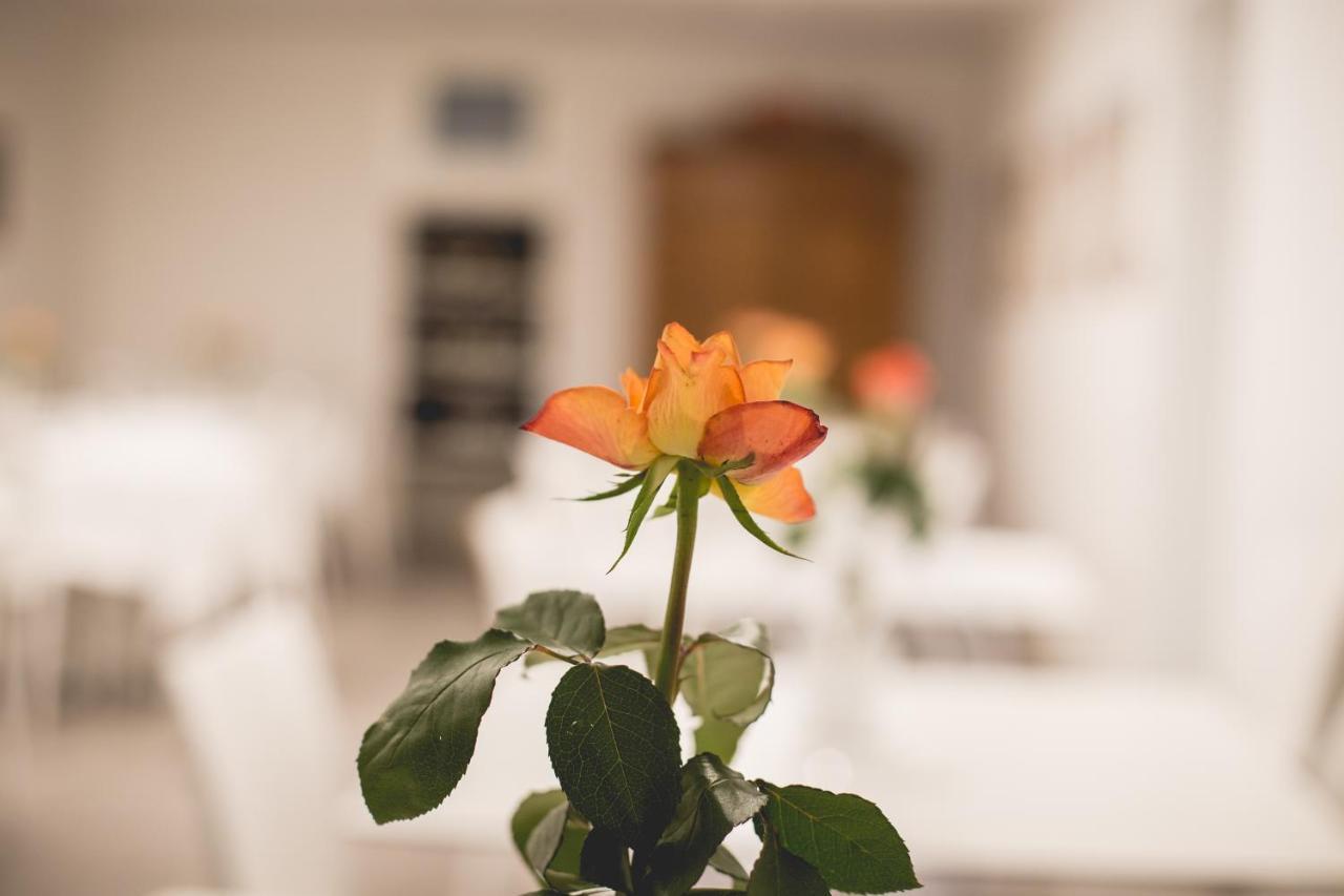 Albergo La Rocca ブリジゲッラ エクステリア 写真